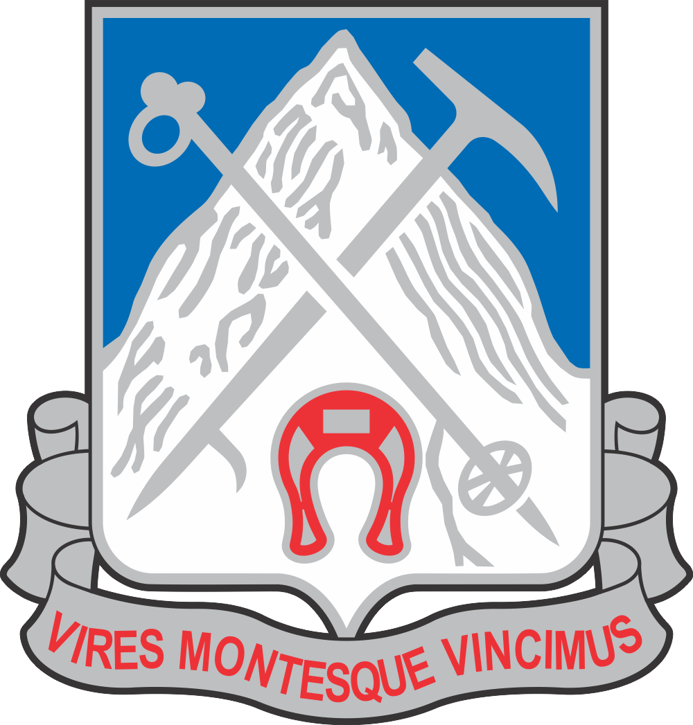 10th Mountain Division 1-87 Infantry insignia